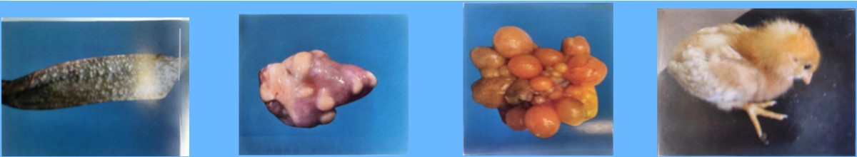 微信图片_20250716155957