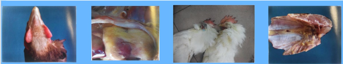 微信图片_20250716160329