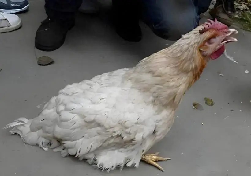 微信图片_20260304142332_47_2 微信图片_20260304142332_47_2