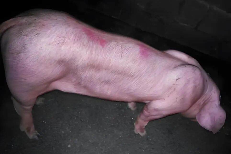 微信图片_20260319143431_71_2