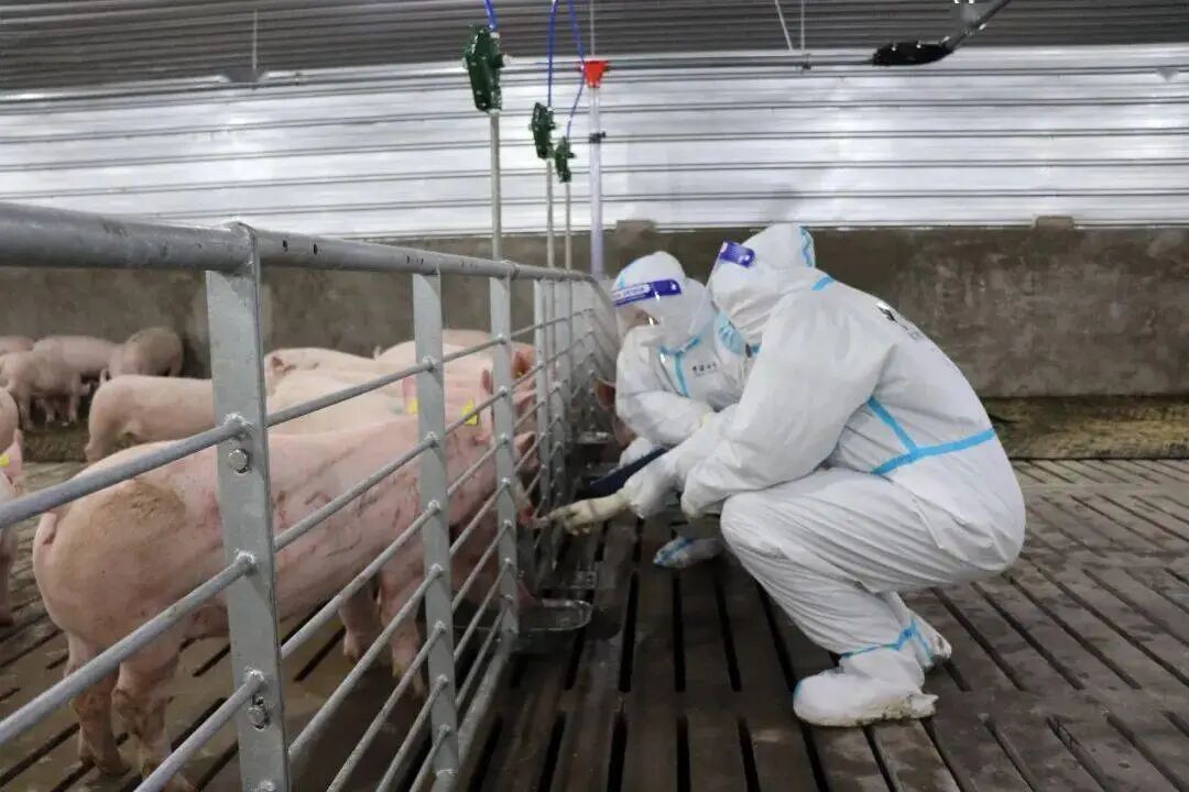 微信图片_20260319143431_73_2