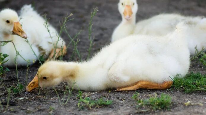 微信图片_20260327140939_81_2 微信图片_20260327140939_81_2