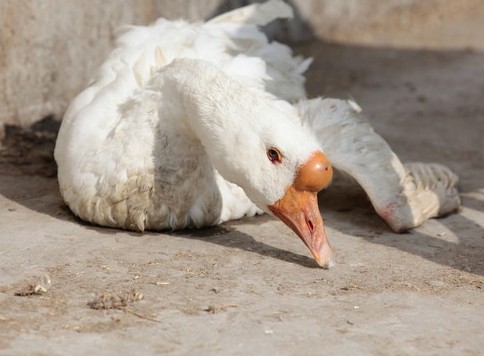 微信图片_20260327142248_82_2 微信图片_20260327142248_82_2