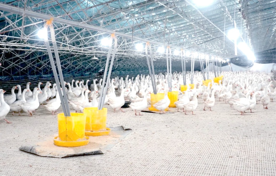 微信图片_20260327142451_83_2 微信图片_20260327142451_83_2