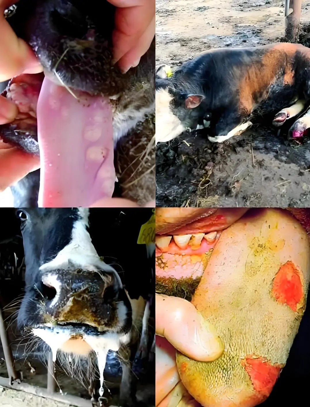 微信图片_20260402162117_93_2