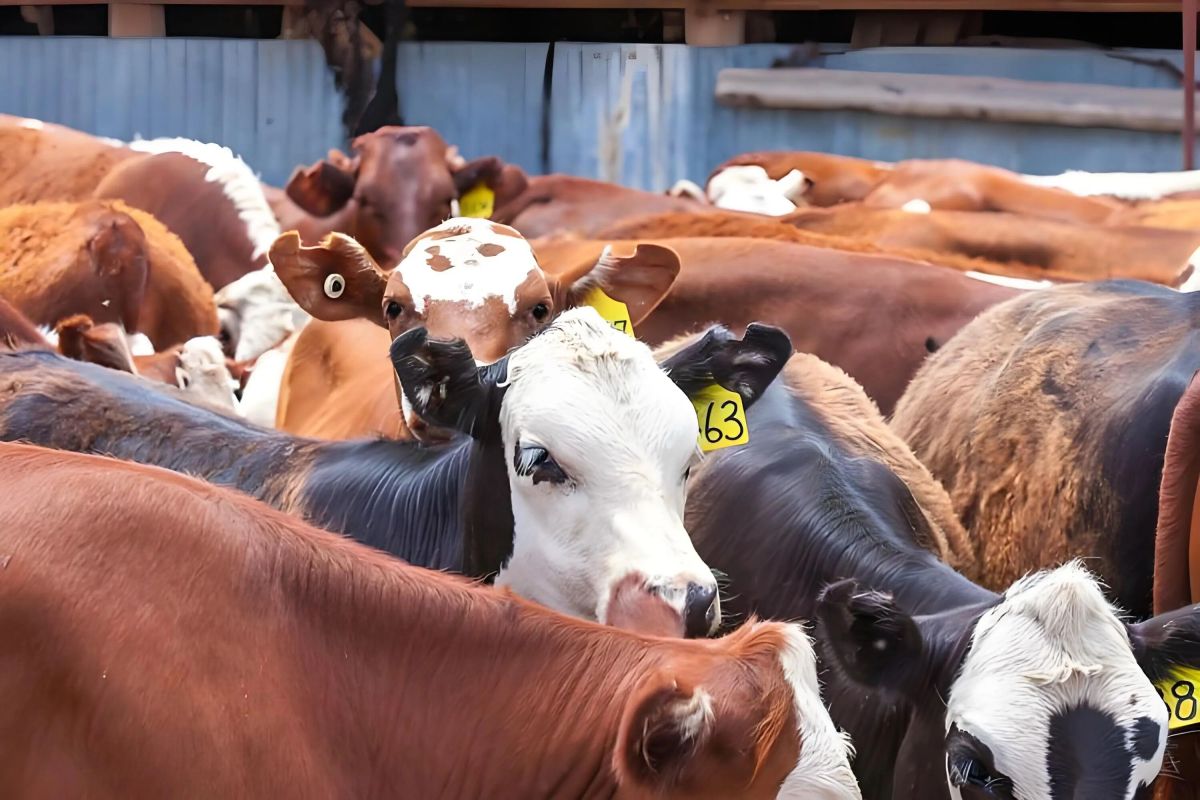 微信图片_20260402162148_96_2