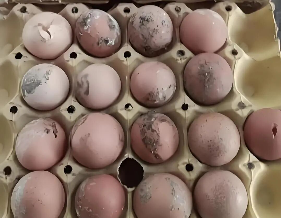 微信图片_20260415142502_123_2 微信图片_20260415142502_123_2