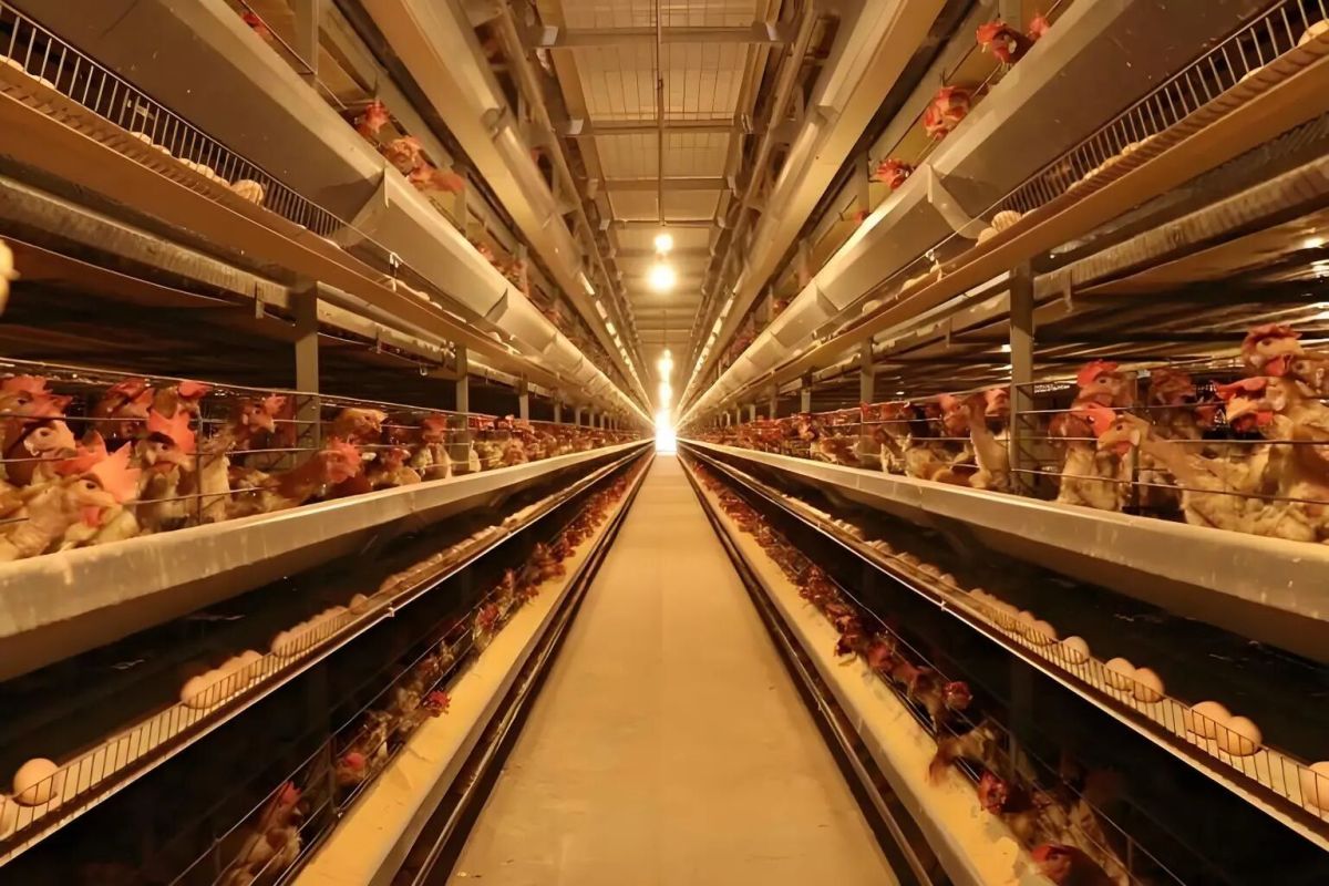 微信图片_20260415142512_124_2