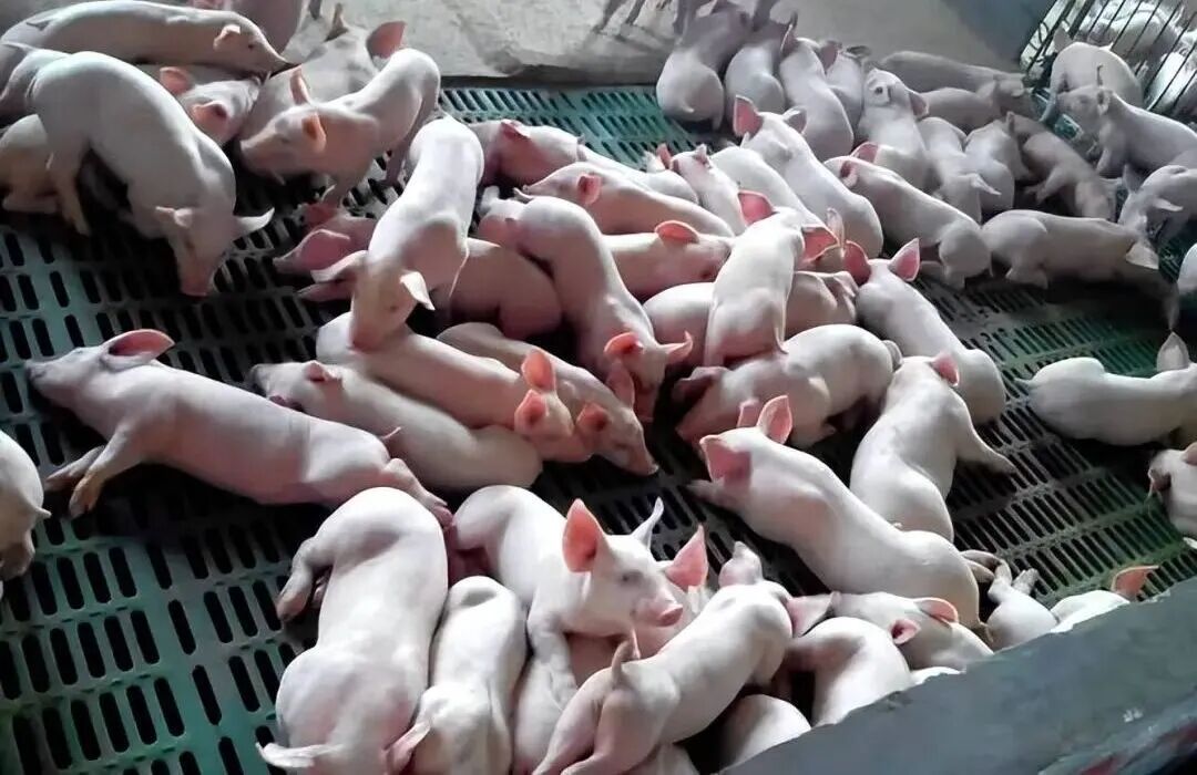 微信图片_20260430141351_162_2