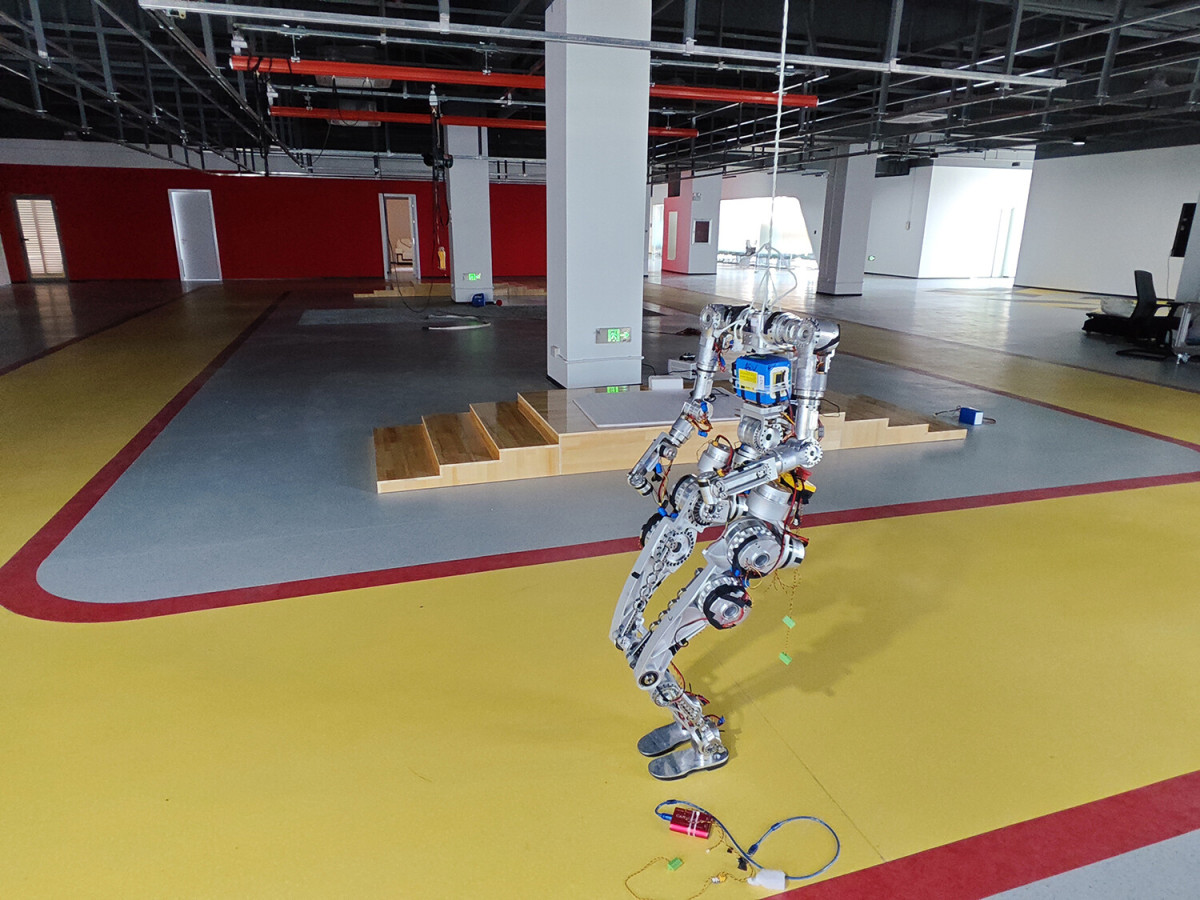 humanoid robots reducer