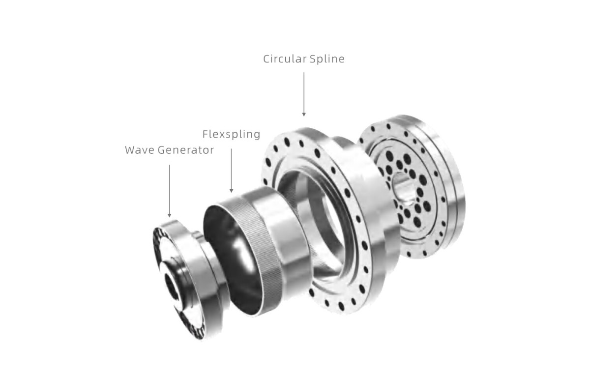 harmonic drive reducer
