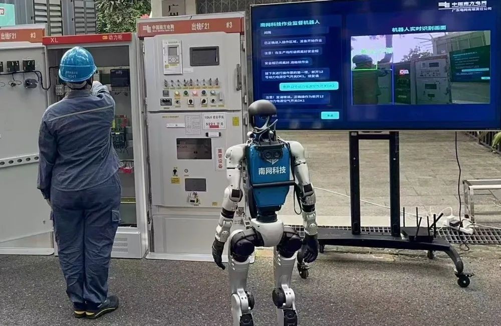 Humanoid robots harmonic drive