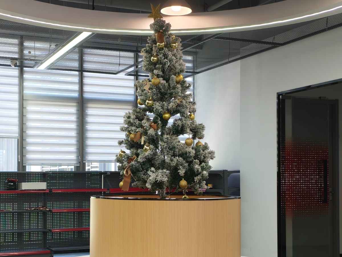 HONPINE combines Christmas celebrations with team building