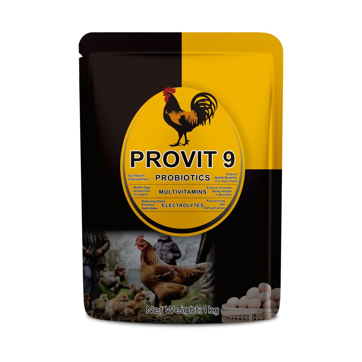 PROVIT 9_1