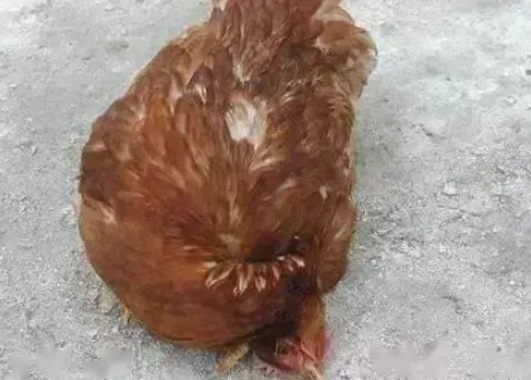 微信图片_20250611151246 微信图片_20250611151246