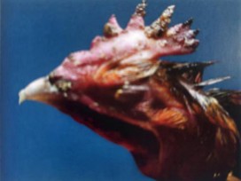 微信图片_20250625142216