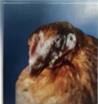 微信图片_20250625142227