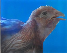 微信图片_20250625142245