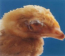 微信图片_20250625142259