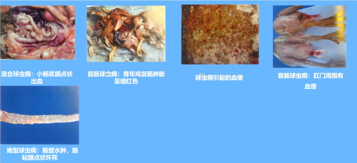 微信图片_20250702161808