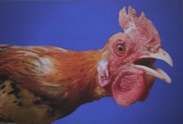 微信图片_20250709170849