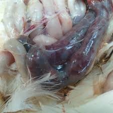 微信图片_20250725161308