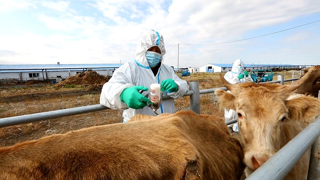 微信图片_20250731160857_24