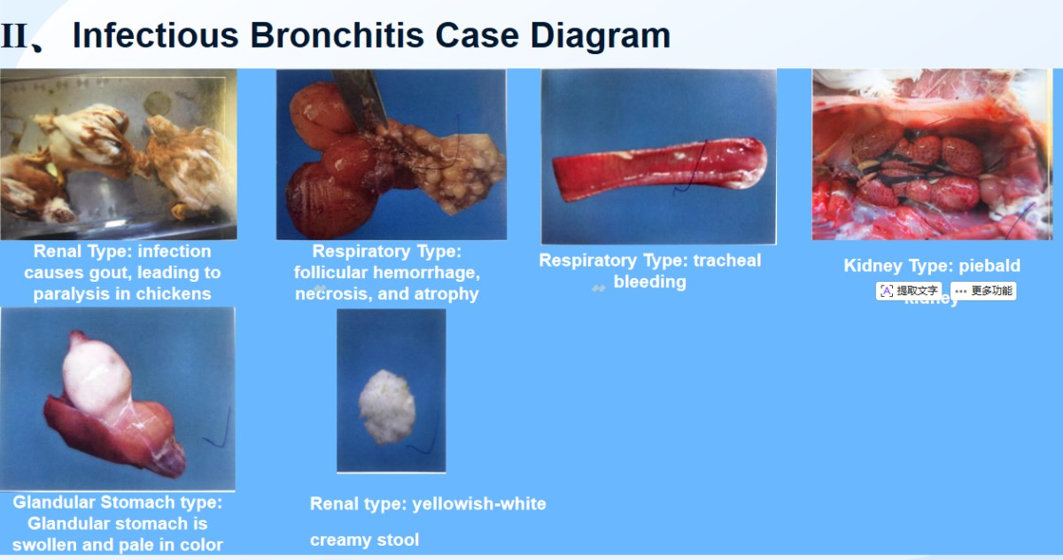 微信图片_20260302145127_38_2