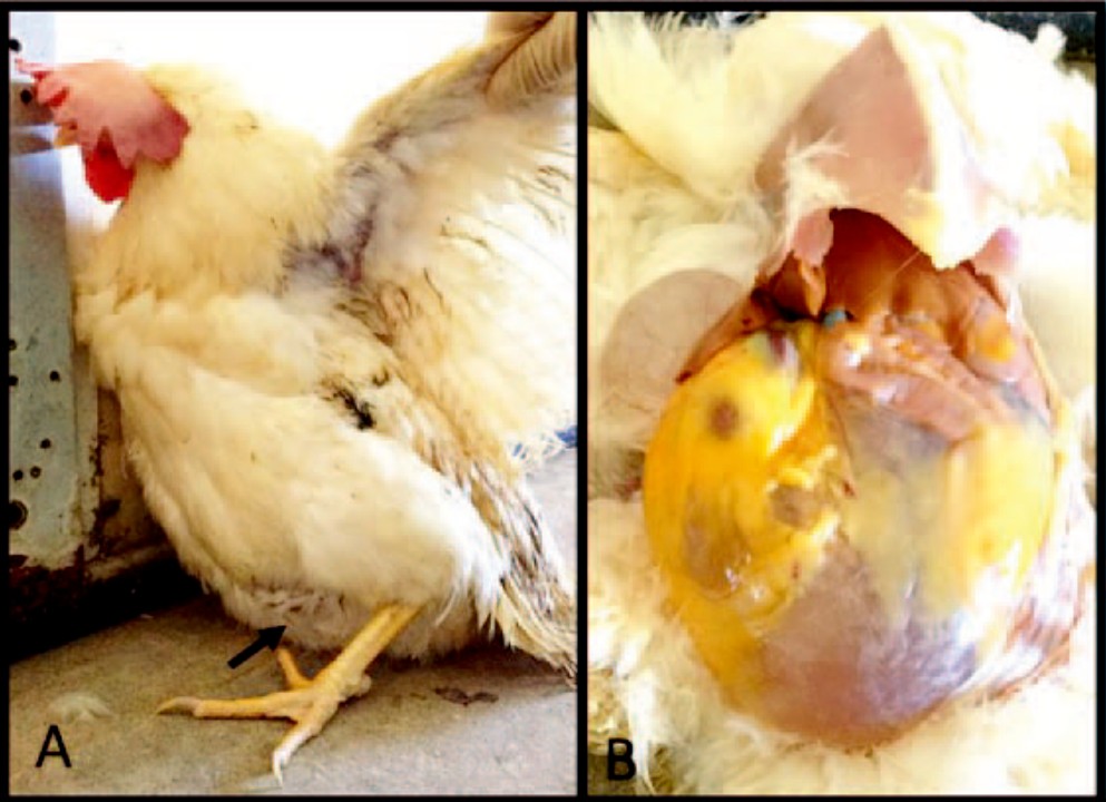 微信图片_20260318145841_64_2