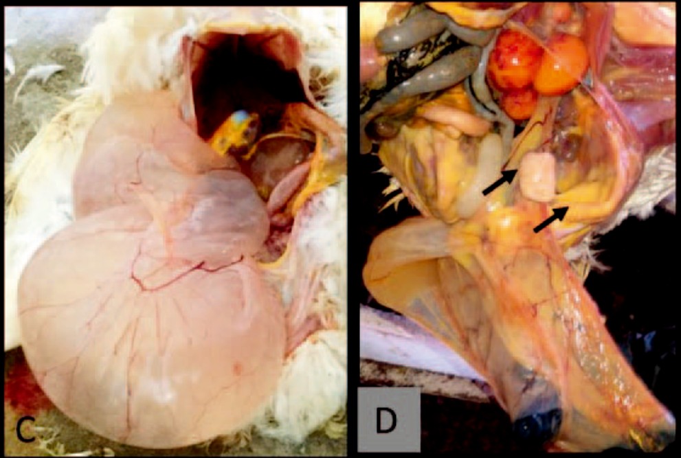 微信图片_20260318145902_65_2