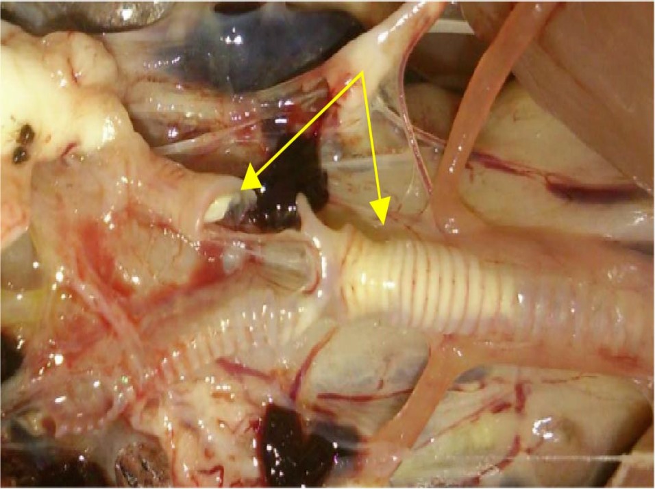 微信图片_20260318145908_66_2