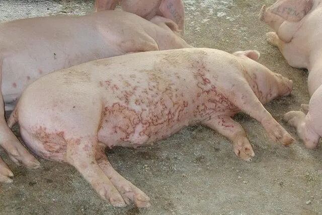 微信图片_20260326144044_237_68