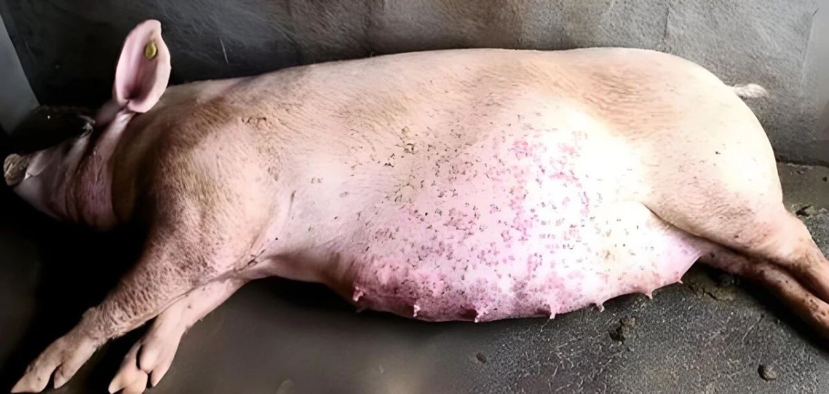 微信图片_20260326144057_238_68