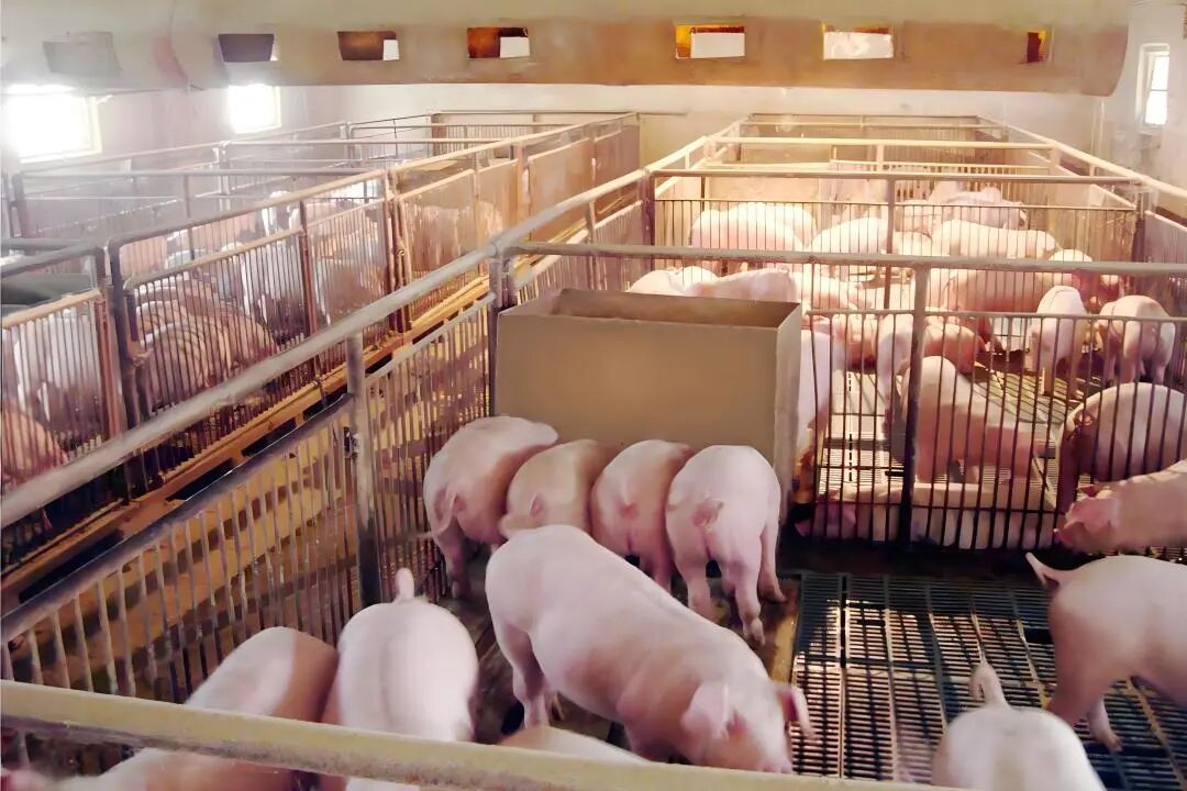 微信图片_20260326144119_239_68