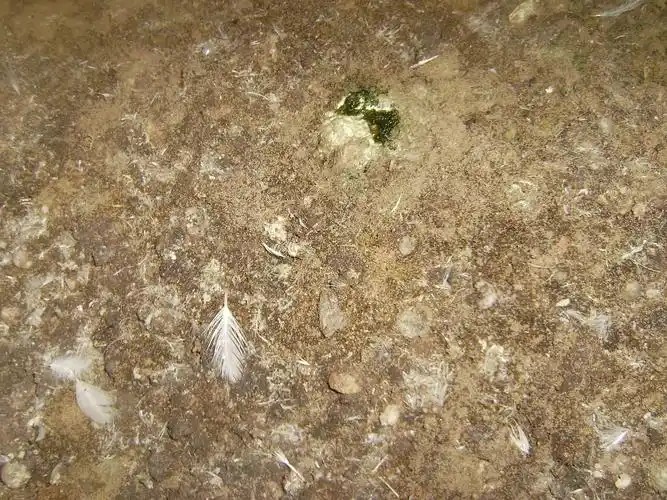 微信图片_20260401144724_88_2