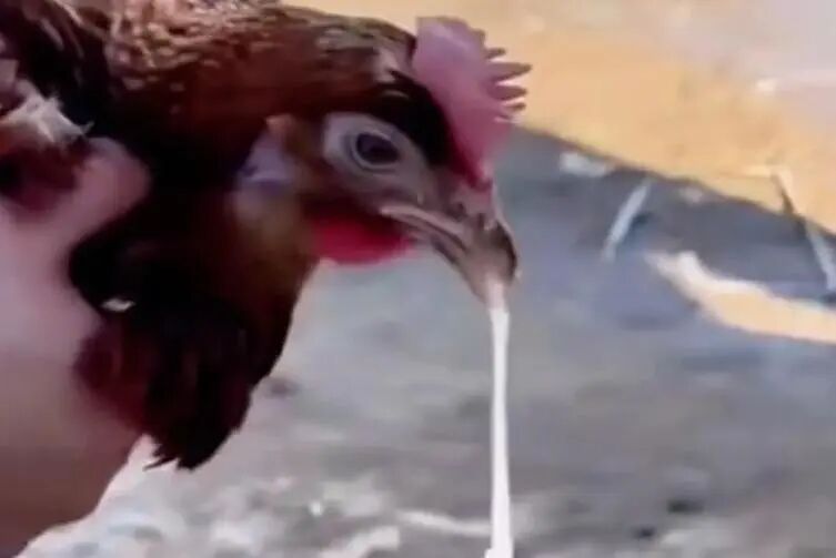 微信图片_20260401144807_89_2