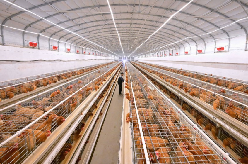 微信图片_20260401155331_91_2