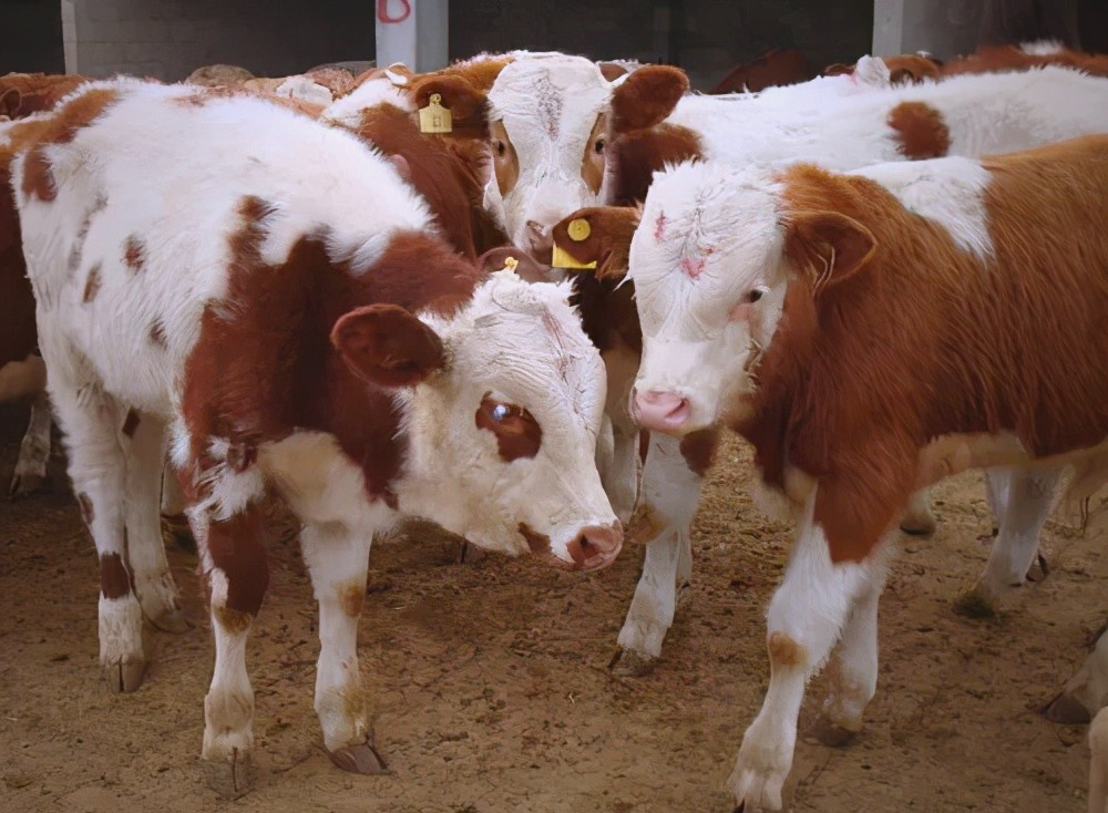 微信图片_20260416155508_128_2