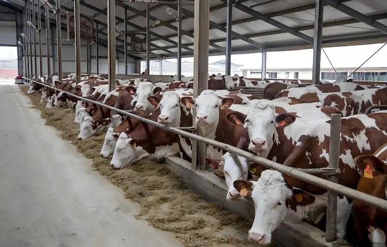 微信图片_20260416155529_129_2