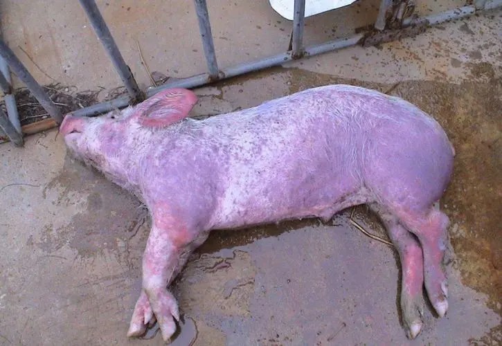 6724124e947ad041b0a5a3cc97af6f21