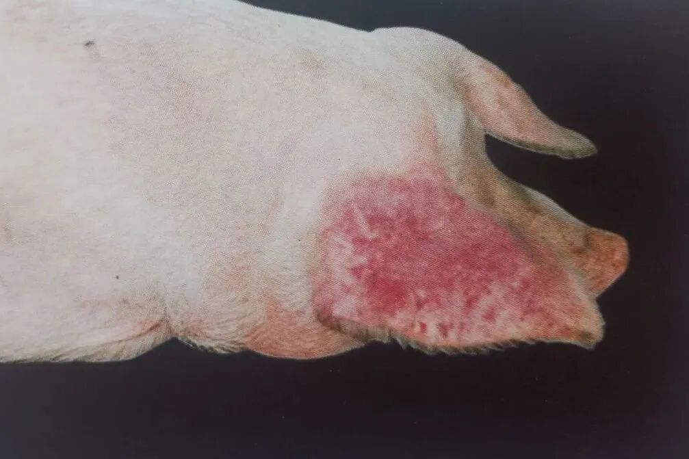 5274b4e1ad27383b91fcfbb5b6c1de1a