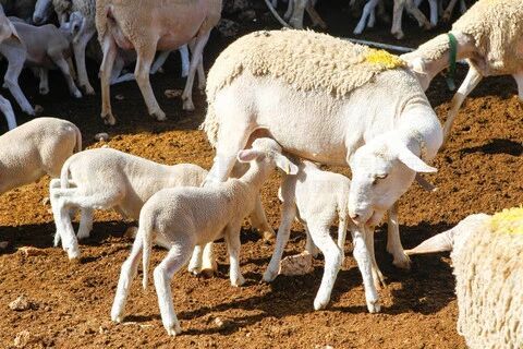 微信图片_20260429144922_158_2