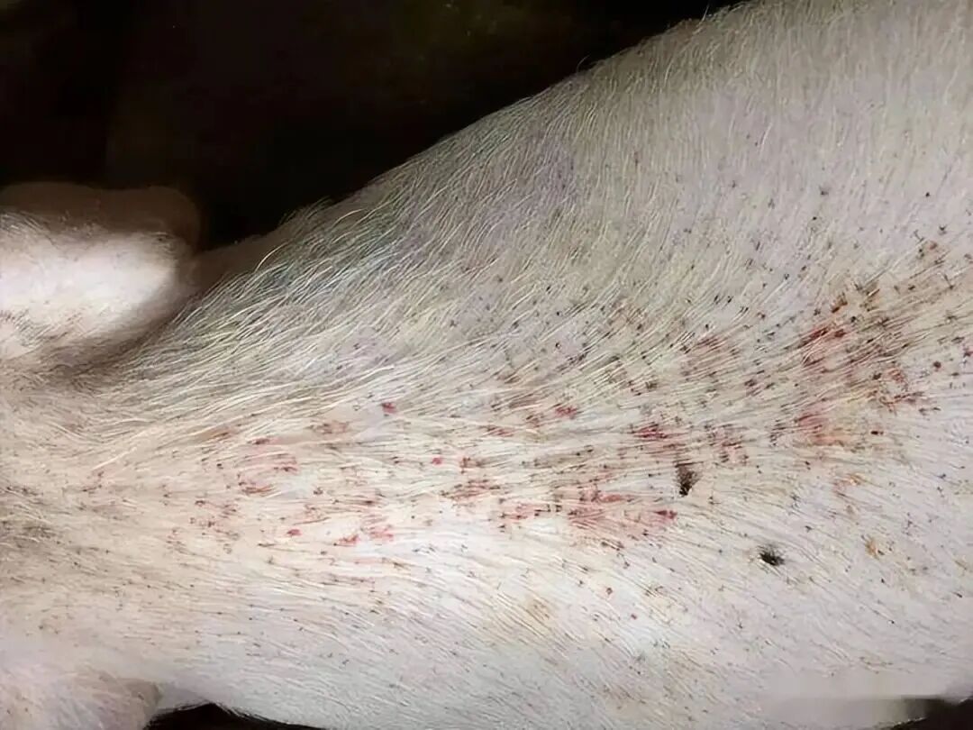 微信图片_20260513162329_170_2