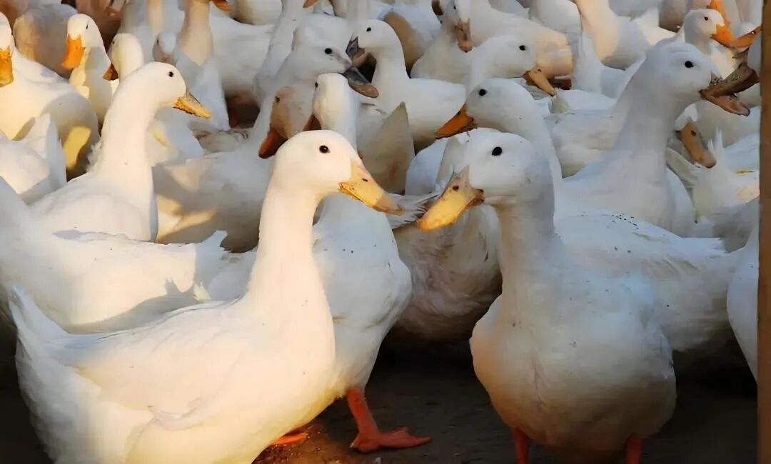 微信图片_20260709153822_48_22