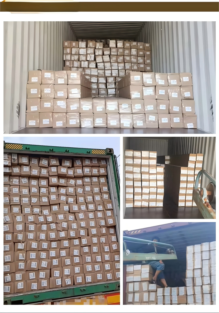 WPC Wall Panel WL011