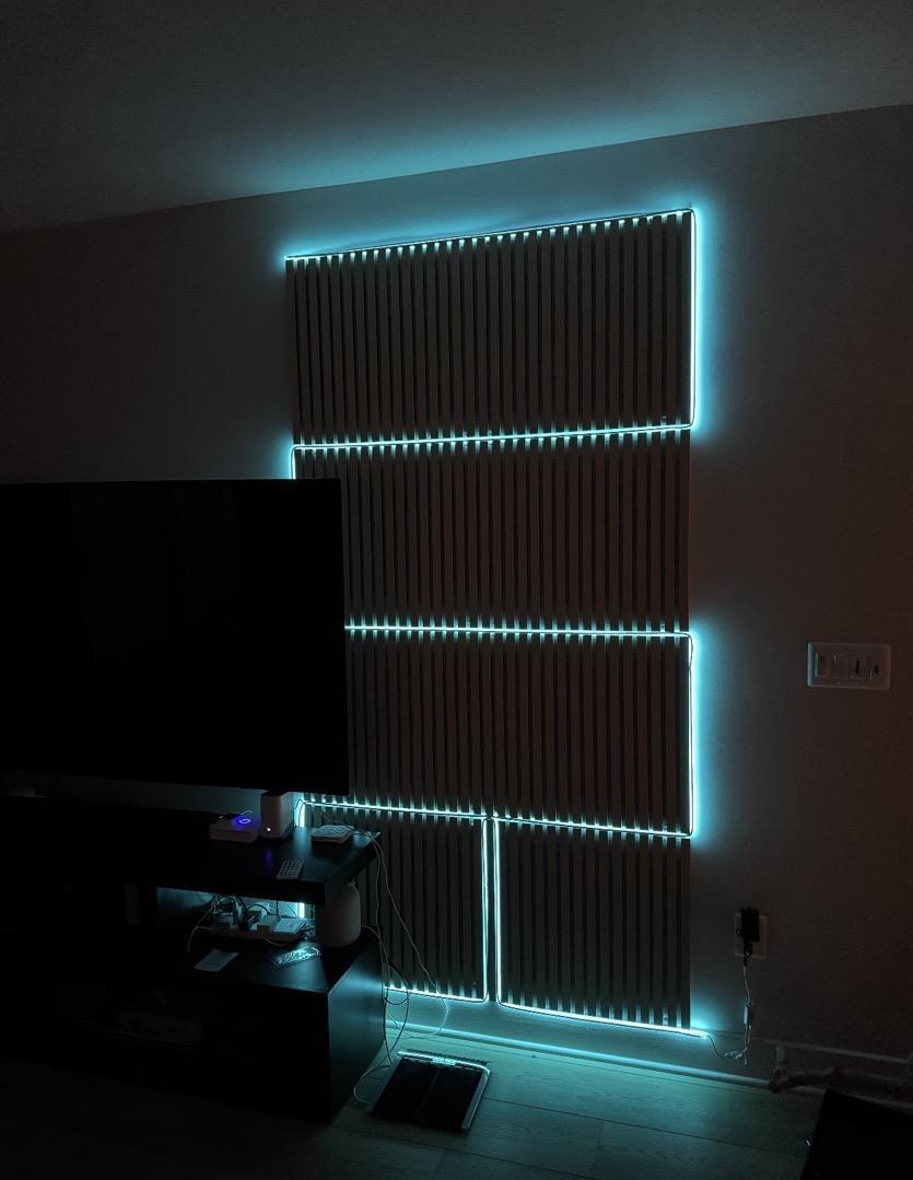 WPC Wall Panel WL011