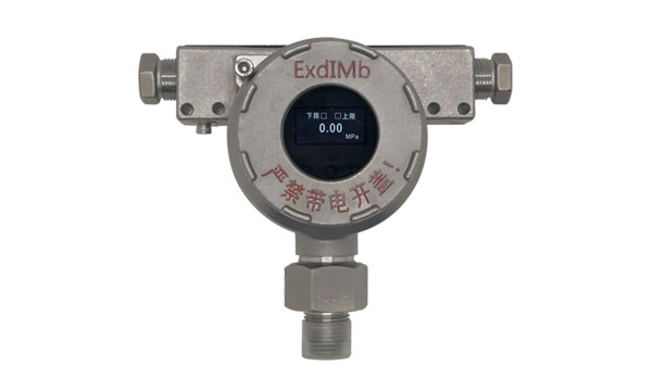 Introdução às Unidades de Medida Comuns em Instrumentos Introdução às Unidades de Medida Comuns em Instrumentos