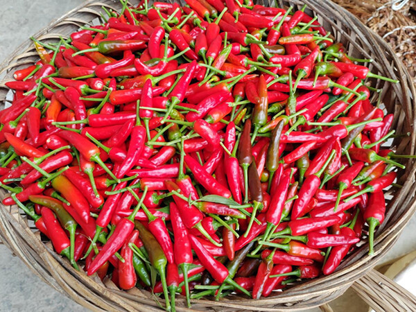 Zhang Luka: ¿Por qué el chile es tan popular en las mesas del mundo?