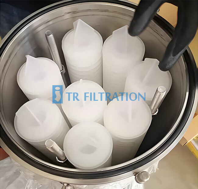 Pleated Micron Filter Cartridge Connection Model