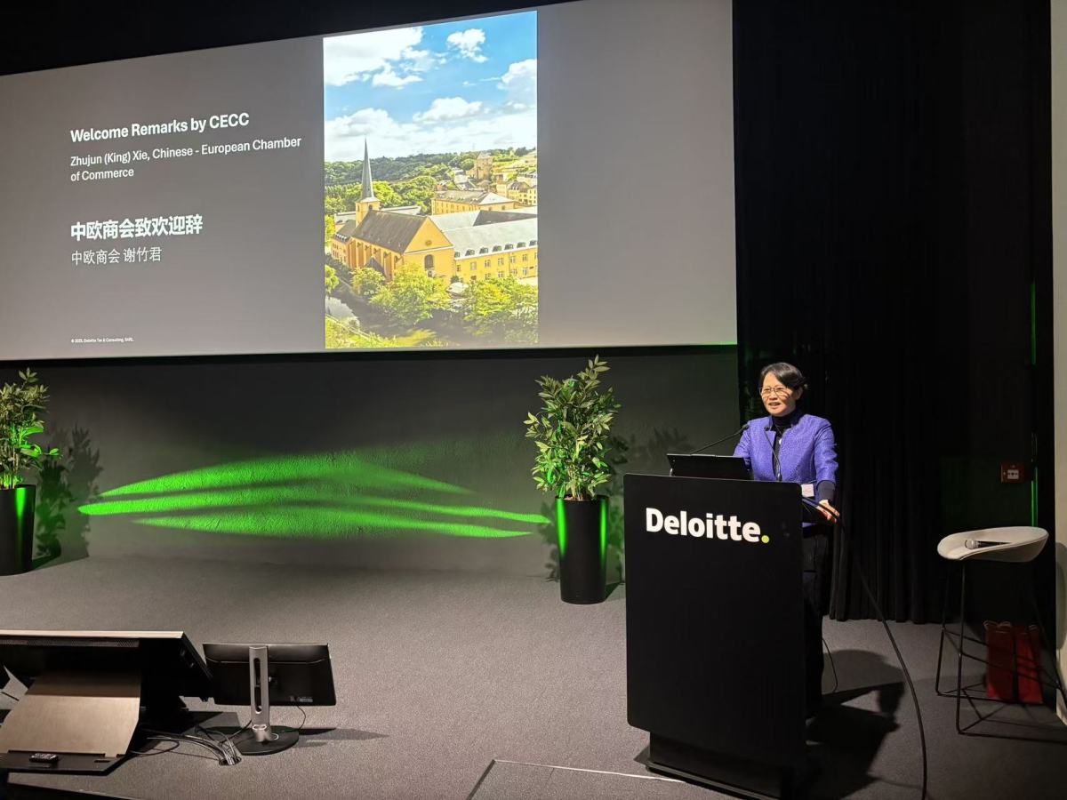 1763888136851142295991296000.jpg 1763888136851142295991296000.jpg